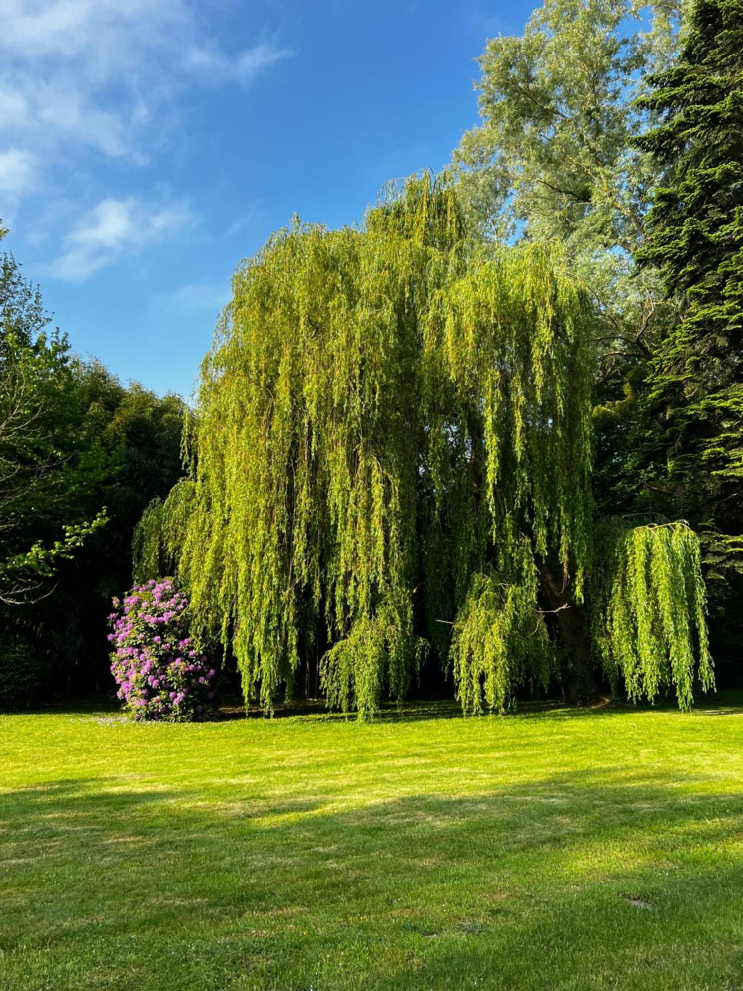 Le Clos De Lily Coudray-Rabut Buitenkant foto